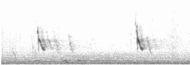 Горобець сіроголовий - ML619062499