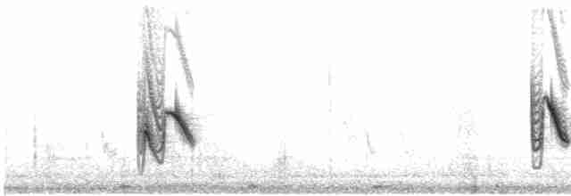 Горобець сіроголовий - ML619062523