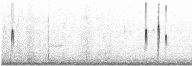 savannesølvnebb - ML619062541