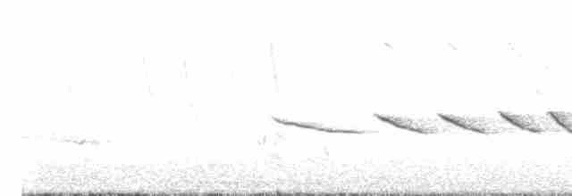Field Sparrow - ML619062676