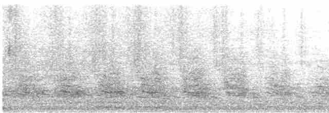 Пелікан рогодзьобий - ML619062763