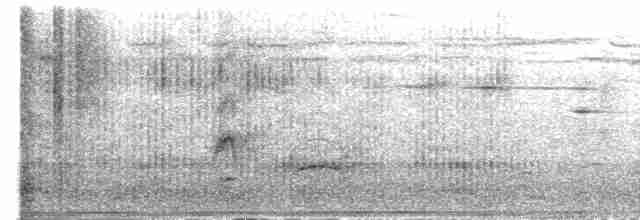 Büyük Kiskadi Tiranı - ML619062801