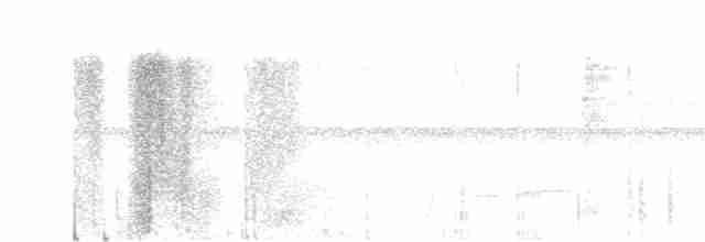 White-necked Thrush - ML619062977