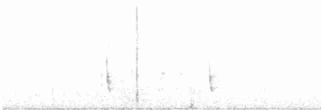 Дрозд-отшельник - ML619063276