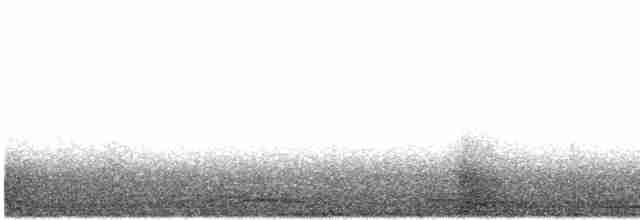 Küçük Kuğu (columbianus) - ML619063282