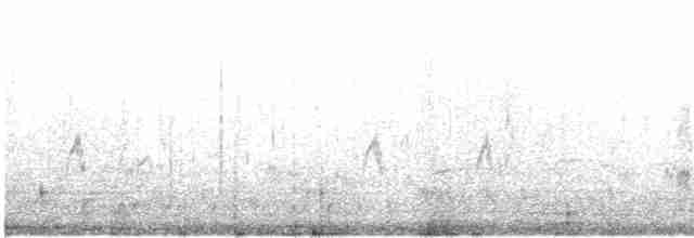 צחיחן שחור-כיפה - ML619063651