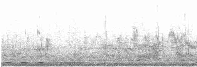 rorýs Hórův (bílý kostřec) - ML619063689