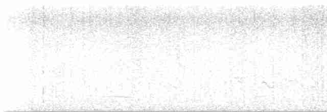 Gray-hooded Warbler - ML619064979