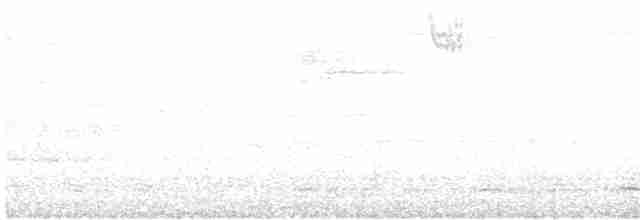 strnadec bělohrdlý - ML619065337