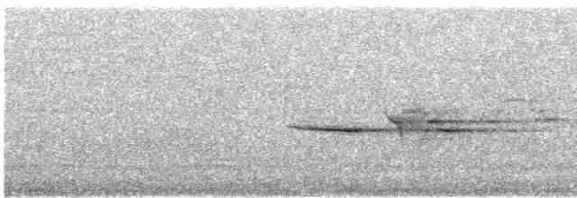 Дрізд-короткодзьоб плямистоволий - ML619065465