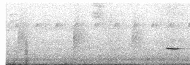 Kestane Sırtlı Karıncakuşu - ML619065654