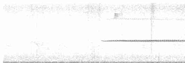 Turuncu Ardıç - ML619066097