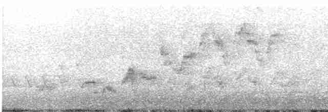 Дрізд-короткодзьоб Cвенсона - ML619066366