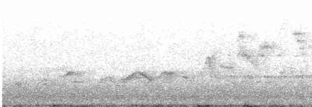 Дрізд-короткодзьоб Cвенсона - ML619066367