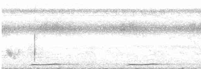 Сова-голконіг далекосхідна - ML619068071