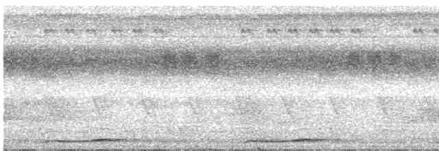 Сова-голконіг далекосхідна - ML619068072