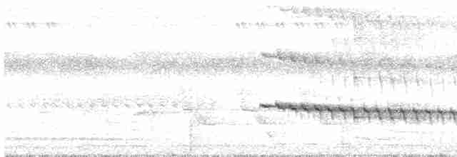Alción de Esmirna - ML619068094