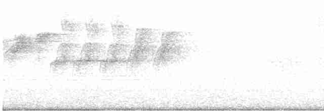 Атласная нектарница - ML619068164
