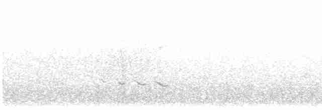 Kuliska hankahori handia - ML619068573