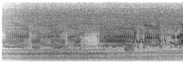 Кратеропа сіролоба - ML619068666