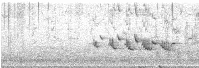 ワキアカツグミ（iliacus） - ML619069247