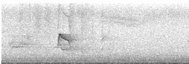 Sarı Karınlı Boreal Sinekkapan - ML619069284