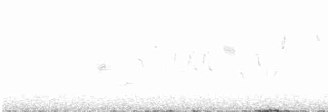 Troglodyte de Baird - ML619070471