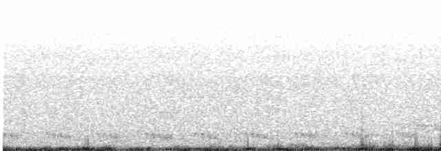 Pharaonennachtschwalbe - ML619070528