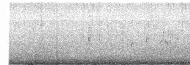 Common Tern - ML619070650