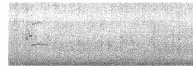 Common Tern - ML619070653