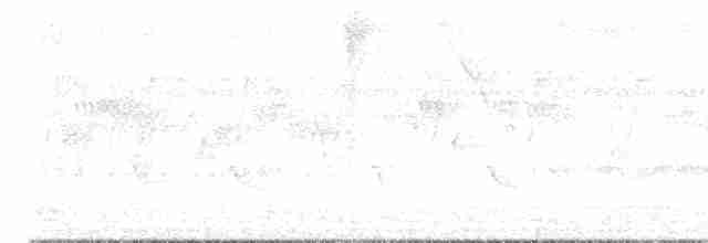 Серый петух - ML619071938