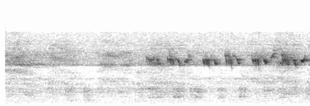 Pouillot de Swinhoe - ML619072172