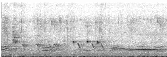 Streifenpanthervogel - ML619075269