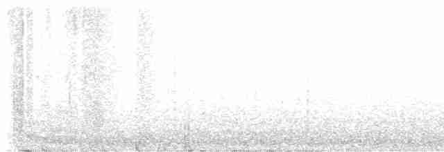 ムナジロアマツバメ - ML619075476