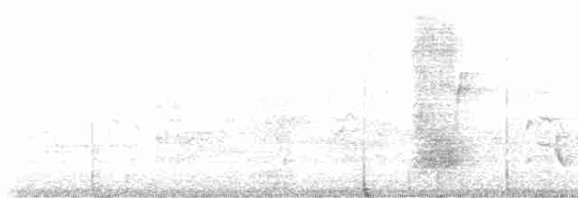 Blauhäher - ML619075701