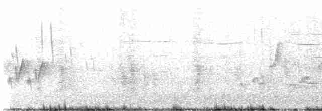 Каролинский крапивник - ML619076161
