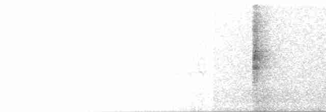 Carouge à épaulettes (groupe phoeniceus) - ML619076573