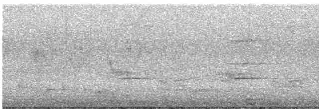 Oriole des vergers - ML619076617