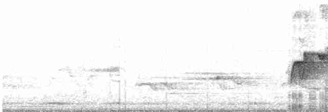 Acadian Flycatcher - ML619077073