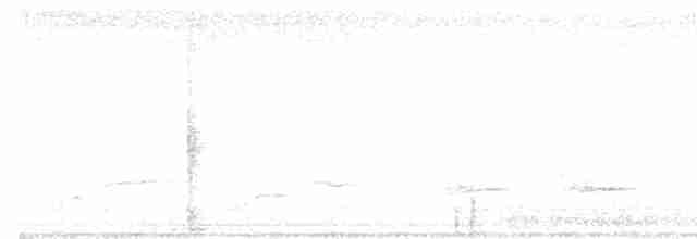 Soluk Göğüslü Ardıç - ML619077371