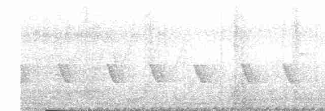 langhaleskredderfugl - ML619077682