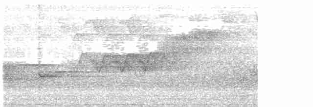 Cerulean Warbler - ML619078110
