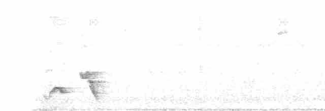 Pembe Gerdanlı Ardıç Tangarası - ML619078312