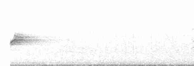 Kentucky Warbler - ML619078478