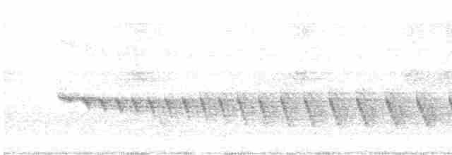 Grauband-Ameisenvogel - ML619078700