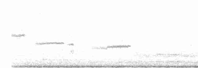 Clamorous Reed Warbler - ML619079106