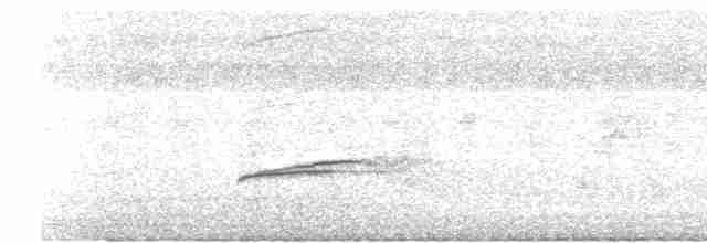 orientskjæreskvett (saularis gr.) - ML619079212