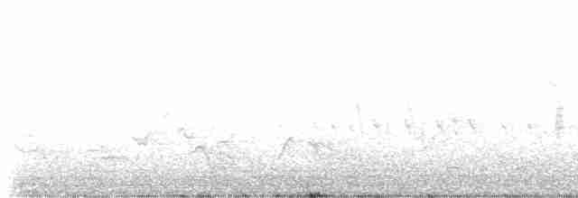 Einsiedelwasserläufer - ML619079945