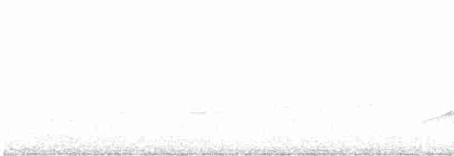 Sarı Karınlı Sinekkapan - ML619080068