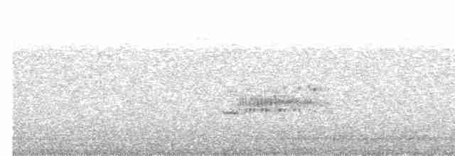 西方秧雞 - ML619080533